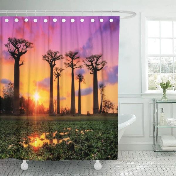 Tende da doccia bellissime alberi di baobab al tramonto il viale del tessuto poliestere impermeabile a tenda 60 x 72 pollici set con ganci