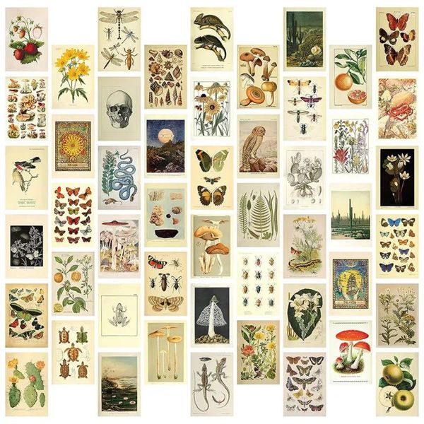 Dekorative Teller Vintage Ästhetische Wandcollage Kit - 50 Mini Botanical Cottagecore Art Poster (4x6inch) für trendige Po