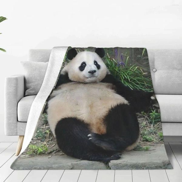 Cobertores Fubao Panda fu Bao Animal Blanket Super Warm All-temporada Comfort Throw para roupas de cama de luxo acessíveis