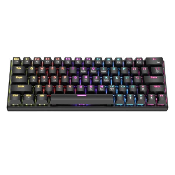 Tastaturen G101D Mechanische Gaming -Tastatur 63 Tasten kompakt verdrahtete Computertastatur mit RGB -Farbbeleuchtung Hintergrundbeleuchtung für den Laptop -PC