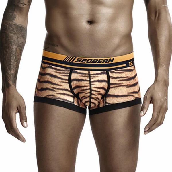 Underpants Sexy Leopard Stampa maschile biancheria biancheria bianche