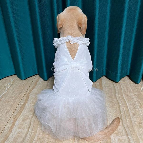 Großhundkleider Hochzeitskleid für große Sommer Chiffon Weiße Haustier Labrador Golden Retriever Pinte Husky Kleidung 240402