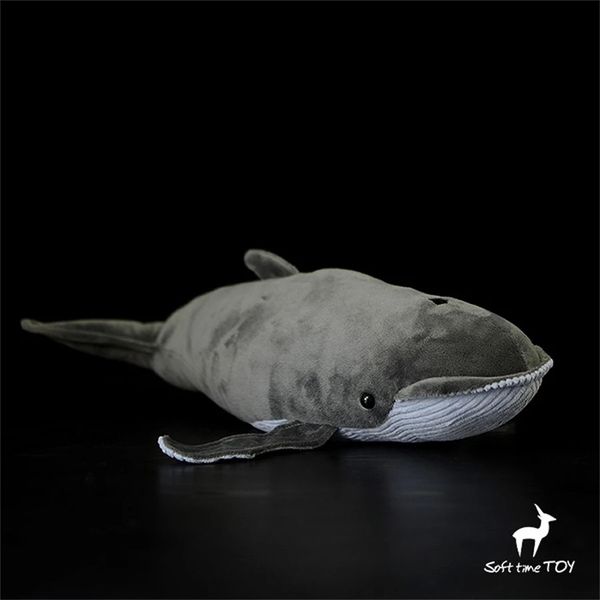 Blue Whale Anime niedliche Plushie Baleen Plüschspielzeug lebensee Tiere Simulation Stoffed Puppe Kawai Spielzeuggeschenke Kid 240325