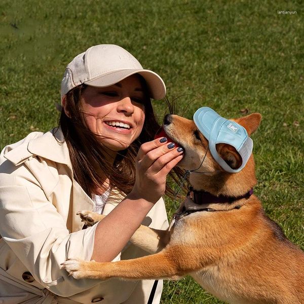 Capotte da baseball Abbigliamento per cani con buchi per le orecchie da esterno Cartone animato Mesh Mesh traspirante cucciolo di vestiti con cappello a punta sole