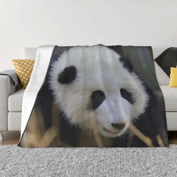 Decken Huahua Panda Tierdecke weiche Plüsch hypoallergenen Wurf für Easy Care Machine Travel