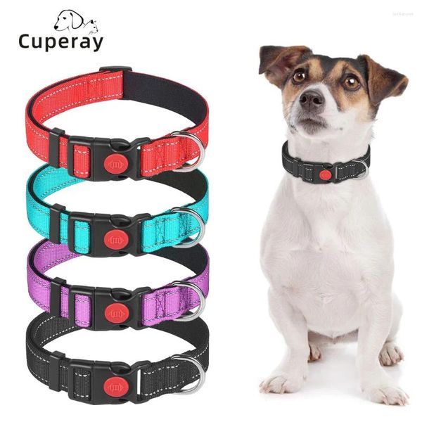 Collari per cani Collar e guinzaglio Set con manico in nylon Allenamento regolabile in nylon Sicurezza Blockle Fibbia Reflective Dogs Forniture