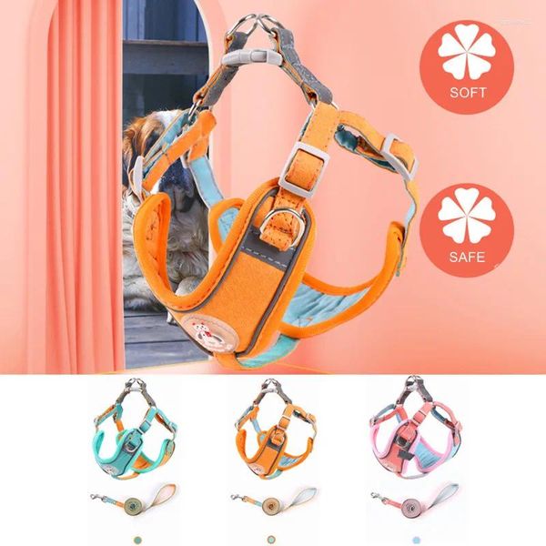 CAT APARELO CAT CELO REFFERÊNCIO AJUSTÁVEL PARA CHIHUAHUA SEM PULL CHILHA CLARNHAH ALGO ALGO ALGO PET ACESSÓRIOS DE PET ACESSORES NYLON