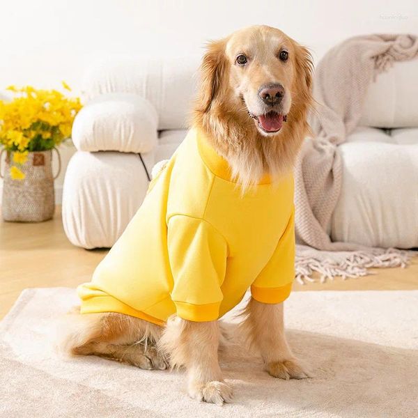 Köpek Kıyafet Kış Evcil Giysileri Sıcak Ceket 3D Ayı Aksesuarları Altın Retriever için İnce Kadife Büyük Büyük Köpekler