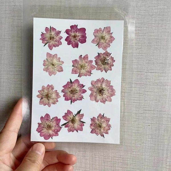 Dekorative Blumen 3-4cm/1224pcs Real natürlicher gepresster getrockneter Rosenköpfe in rosa Trockenpresse Rose für Epoxidharz-Schmuck Einladungskarte