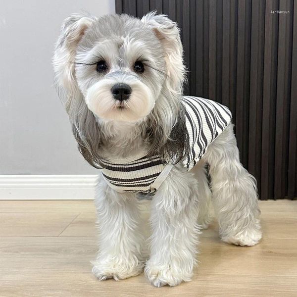 Vestuário para cachorro listrado colete elástico barba branca schnauzer roupas de pelúcia cães de ursinho de pelúcia