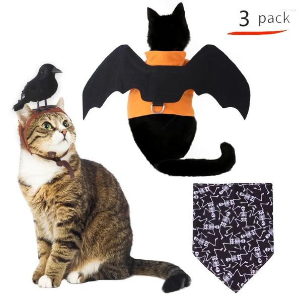 Kedi Kostümleri Cadılar Bayramı Yarasa Göğüs ve Arka Set Crow Headdress Üçgen Eşarp Süslemeleri Cosplay Giysileri