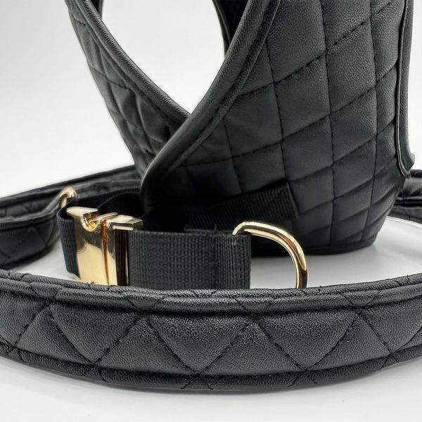 Dog Collars Designer Imbracature Set Trendy Dog Leashes Lettera C Brand Pet Collar per Sm