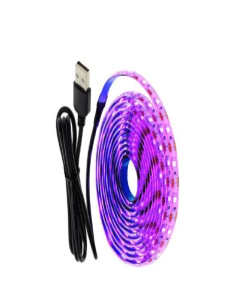 Luce LED USB da 5 V 1M 2m Pink Ice Blue White White RGB 2835 Sfondo TV Lucile Decorazioni Fairy Luci 6228459