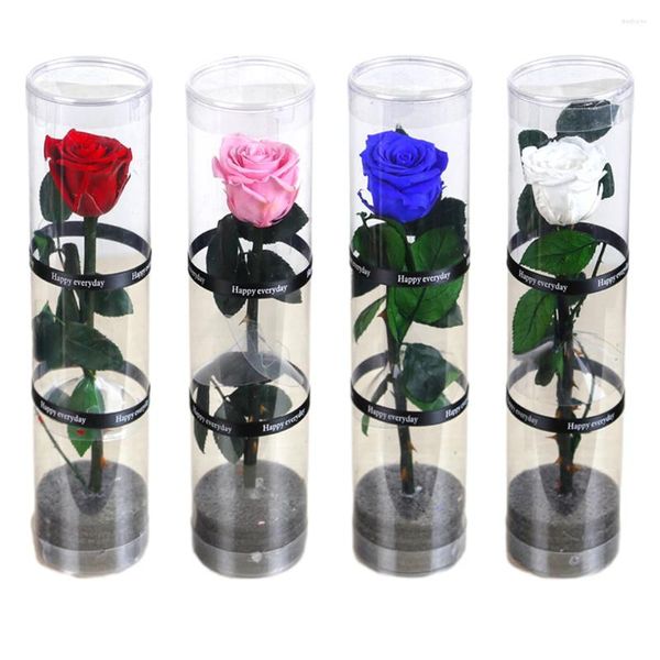 Dekorative Blumen Ewige Blume Single Rose PVC handgefertigtes DIY Valentinstag Hochzeitsgeschenk mit Box Liebhaber Frau Freundin Geschenke