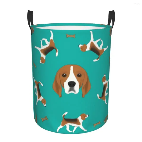 Bolsas de lavanderia BEAGLE BUCH BECTER CLASSIBLE ROURS CLIMPERAÇÕES DE ARGORAZER BINISTRA BINS Organizer Bins