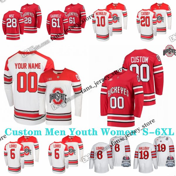 Özel S-6XL Ohio State Buckeyes Hokey Jersey 16 Quinn Preston 29 Gustaf Westlund 61 Grant Gabriele 25 Sam Deckhut William Smith Theo Wallberg Kristoffer Eberly