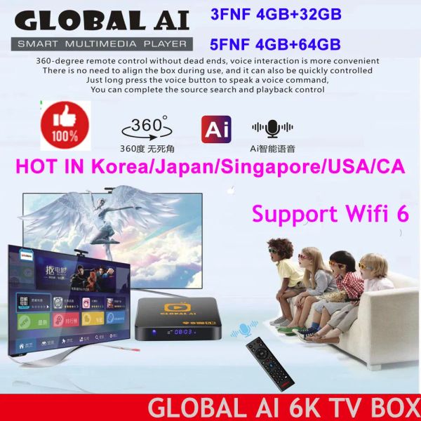 Caixa NewGlobal AI 3FNF/5FNF Ásia Melhor caixa de TV Android AI Voice Dual WiFi 4+64 GB Hot na Coréia Japão Canadá EUA SG PK EVPAD TV Box 6p 6s