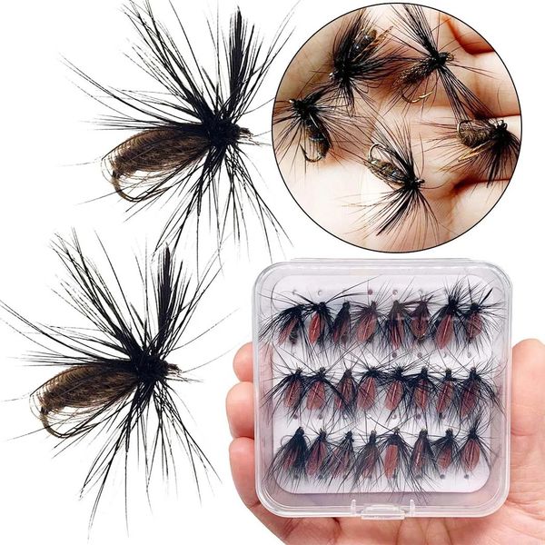 25pcsbox Black Fly Peacock Feather Wings Fishing for Trout Tamanho da isca #10 moscas Artificial Inseto Lure 240327