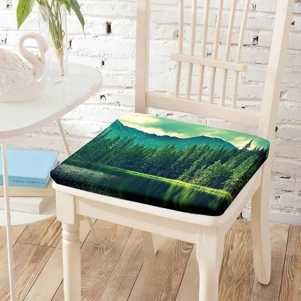 Pillow Mountain Trees Lake Print Stuhl Rückenlehre abnehmbarer Mantel bequeme Stühle Pad Dekorative Schlafzimmer Wohnkultur