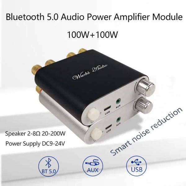 Verstärker 2*100W Bluetooth 5.0 TPA3116D2 Stereo HiFi Power Audio -Verstärker TPA3116D2 Digital USB Amplificador Home Theatre Mini Amp