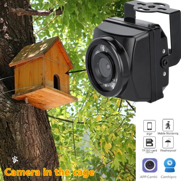 Telecamere piccole mini ip ip outdoor fotocamere visione notturna ipc largo angolo audio video sicurezza sorveglianza p2p onvif uccello gabbia