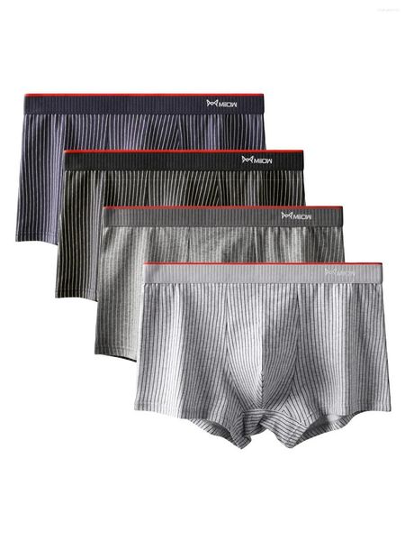 MUITAS MIIOW 4PCS Cotton Boxer Boxer Antibacterial Man Boxershorts Men listrado sem costura Male curto