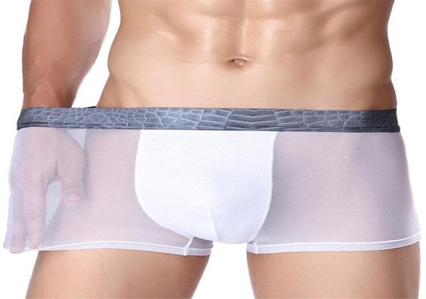Moda shorts de roupa de baixo verão gelo gelo fino boxer masculino Men039s Sexy Underpants for Man calcies transparente respirável Cue9019188