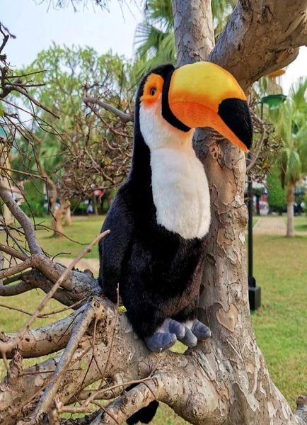 30cm büyük kyorochan simülasyonu toucan kuş hayvan peluş oyuncak bebek çocuklar doğum günü hediyesi ev dekorasyonu la3089002822