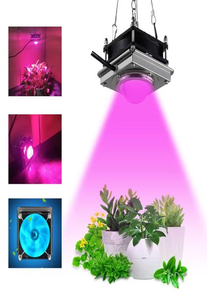 Luzes de cultivo Cob Lights Controle de espectro completo LED 60W Lâmpada de crescimento de plantas Lâmpada interna Flor carnuda e cultivo hidropônico Sup2425863