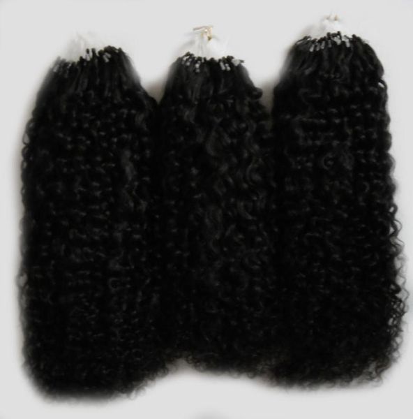 Afro Kinky Curly Hair Micro Loop menschliches Haarverlängerungen 300 g 1GS 300S natürliche Mikroverbindungshaarverlängerungen Human7495743