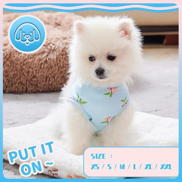 Vestuário para cães pêssego de pêssego roupas de gato de gato cães cães fofos de moda doce chihuahua verão de cachorro azul de cachorro