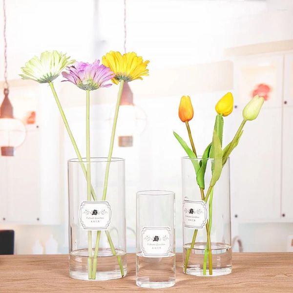 Vasos vaso de vidro de vaso de vaso de flores decoração de cesta casa nórdica seca hidropônica garrafa pequena
