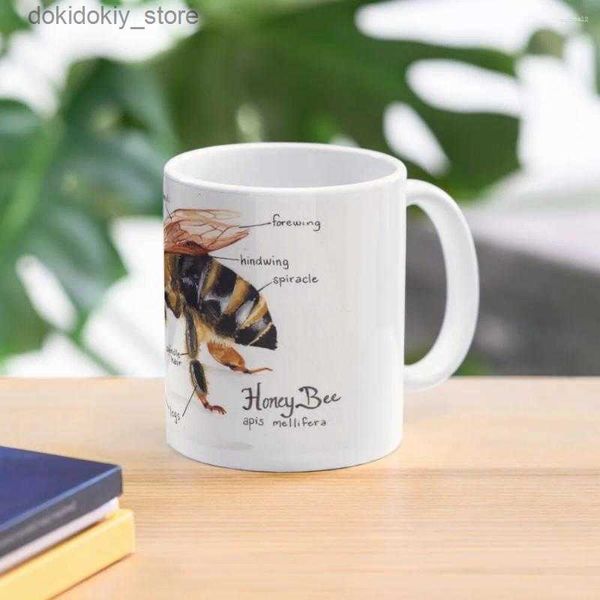 Tazze Mus Honey Ape Anatomy Chart Coffee Mu Cold and Thermal Lasses for Ceramic Cups Creative L49