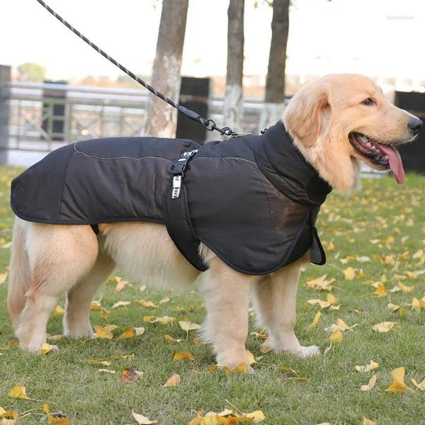 Hundekleidung große warme Baumwollkleidung für Hunde verdickte Schicht Windbrecher reflektierend wasserdichtes Kap -Golden Retriever Winter