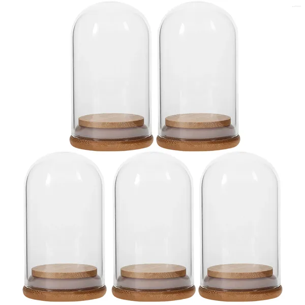 Vasos 5 PCS Desktop Display Dome Armazenamento de pó Toys de vidro Toys de vidro Titular