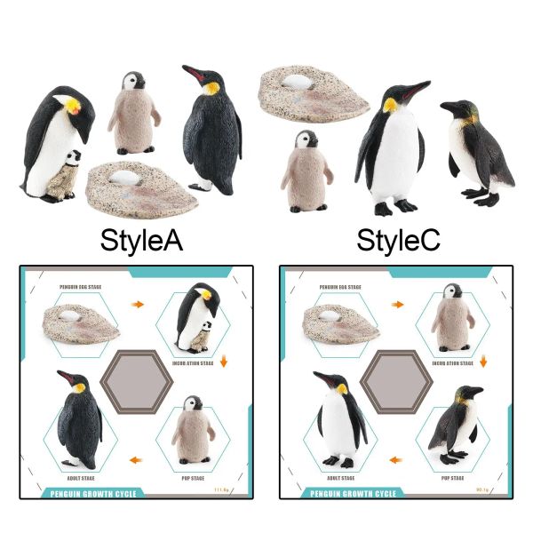 Giochi di crescita della crescita del pinguino Modello del ciclo di vita animale Figure animali Giochi di ruolo