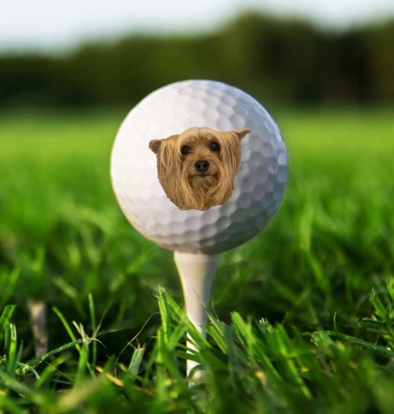 Foto da golf personalizzate da golf personalizzate da golf palline da golf papà palline da golf da groomsmen bomboniere per matrimoni di Natale regali unici per ragazzi