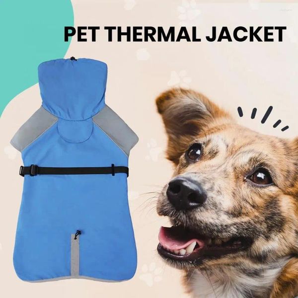 Abbigliamento per cani per animali domestici per il vento di design ad alto contenuto di cottura ad alta giacca a collo di cucina per panoramiche riflettenti per il freddo.