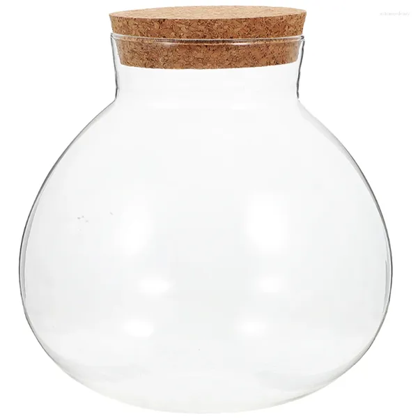 Vasos Planta de garrafa de garrafa de vidro MicrolandsChaft Eco Terrarium Microlandscape Decor