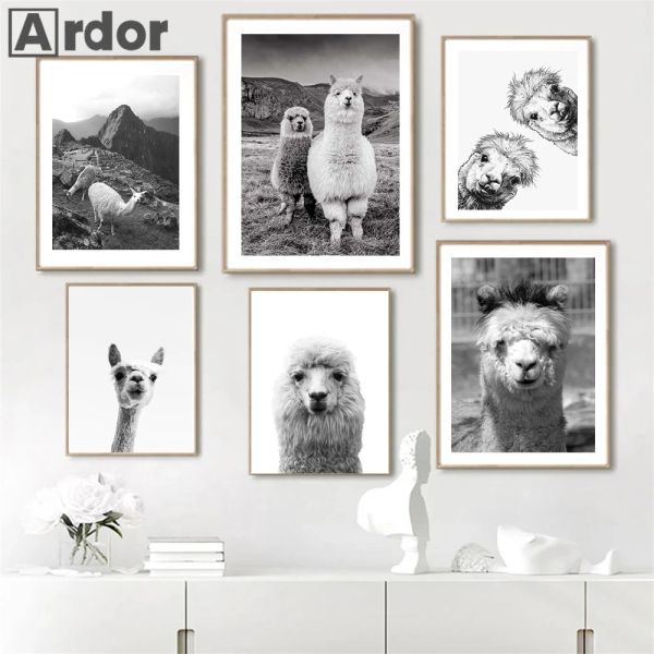 Lama Siyah Beyaz Hayvan Tuval Poster Alpaca Baskılar Kreş Duvar Sanat Tuval Boyama İskandinav Çocuk Resimleri Bebek Çocuk Oda Dekoru