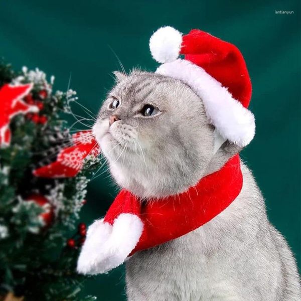 Köpek giyim Noel Pet Noel Baba Şapkası Kedi Bebek için Eşarp Küçük Noel Caps Tatil Partisi Kostüm Cosplay Props Puppers Aksesuarları