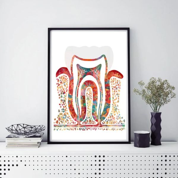 Implante de dentes aquarela Canvas pintando dentes fadas de fadas de arte dental Dentista Anatomia Print Pictures Pictures Hospital Clinic Decor