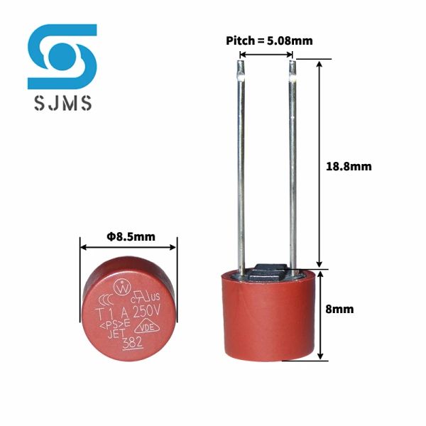 10pcs yuvarlak sigorta yavaş darbe daldırma 2pin 500mA 1A 2A 2.5A 3.15a 4A 5A 6.3A 8A 10A 250V 382 Plastik T2A LCD TV Güç Kartı PCB Kaynak