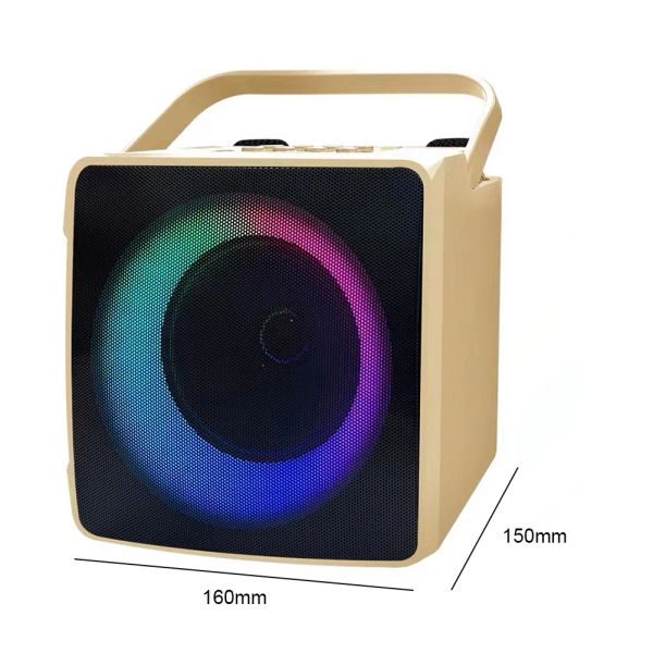 RGB Light Home Karaoke 10W Bluetooth-Bluetooth Portatile Karaoke Speaker Hifi Kids KARAOKE Microfono Macchina per feste di compleanno