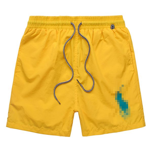 Shorts de praia, bordados de marca de pônei de ponta, designer masculino, terno de natação de pólo de verão, shorts de tábua, natação de bermuda casual de secar rápido shorts de basquete