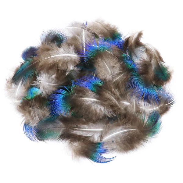 20-100pcs/Lot Beautiful Peacock Feather Gold Piccola piuma di pavone per mestieri 3-8 cm di gioielleria per matrimoni che producono accessori fai-da-te