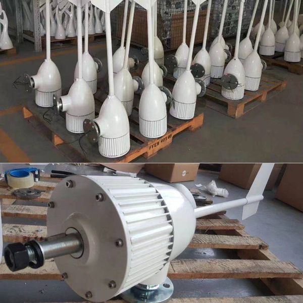 12V 24V 48V 96 V con generatore di turbina eolica MPPT 3 pale Generatore eolico Magnete permanente Alternatore Usa Aerogenoratore