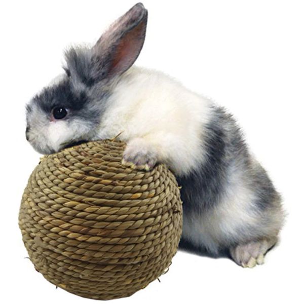 Pet Chew oyuncak doğal çim topu tavşan hamster guinea domuz diş temizleme malzemeleri için evcil oyuncaklar evcil hayvan malzemeleri