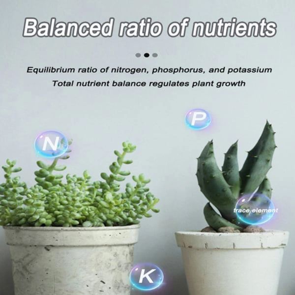 1/2 bottiglia in vaso fertilizzante biologico succulento universale per facilità cibi vegetali per fertilizzante per verdure di fiori di fiori di alberi