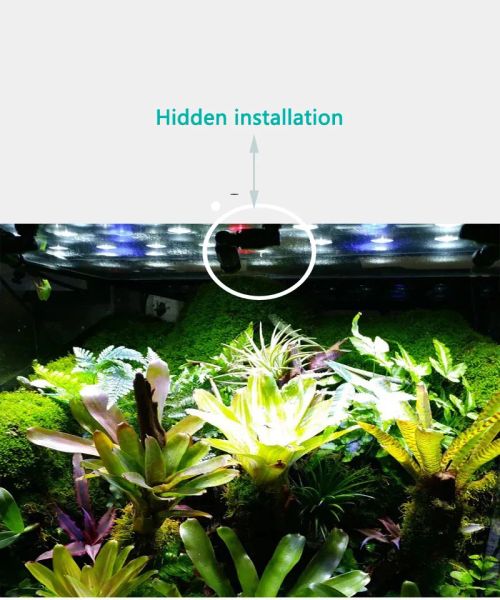 360 ﾰ Einstellbare Reptilien Nebel Nebel Sprinkler Regenwaldtank Aquarium Wasserkühlsystem Sprühdüsen System